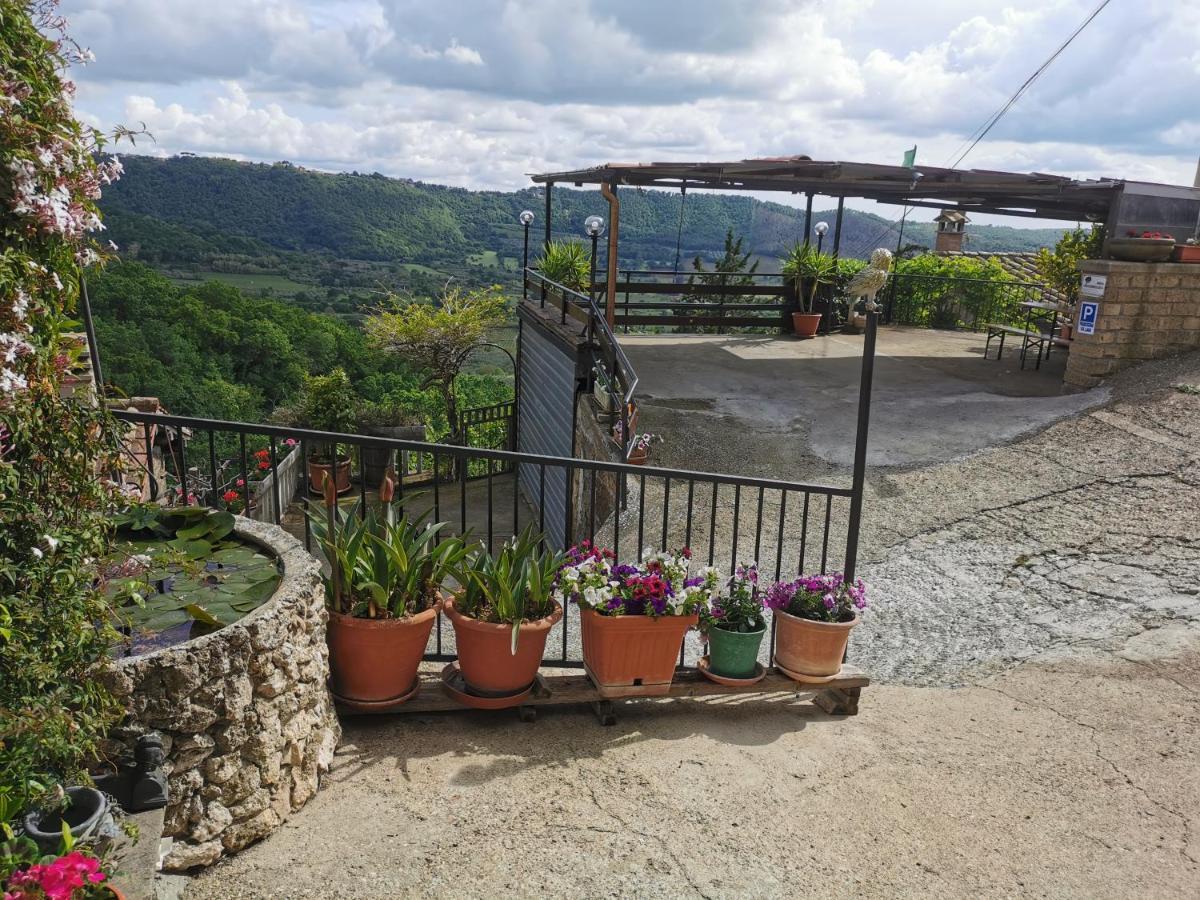 Francigena Sul Lago Montefiascone Exterior foto